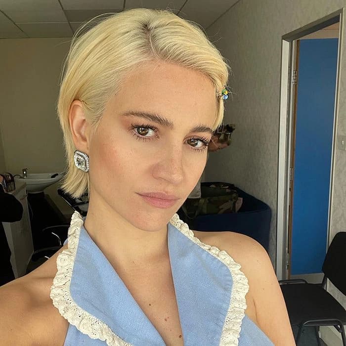 Reference image for The Bixie Cut (The Pixie-Bob).